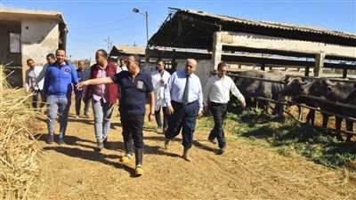 محافظ أسيوط يتفقد محطة بني مر للثروة الحيوانية