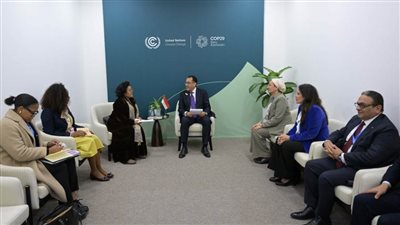 رئيس الوزراء يلتقي المديرة التنفيذية لوكالة 