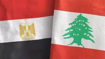 الأحزاب السياسية: مصر حريصة على حماية سيادة لبنان وتقديم الدعم العاجل لشعبه