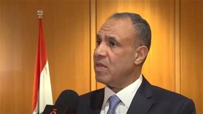    وزير الخارجية: مصر مستمرة في تكثيف اتصالاتها على كل المستويات لوقف إطلاق النار في لبنان وغزة