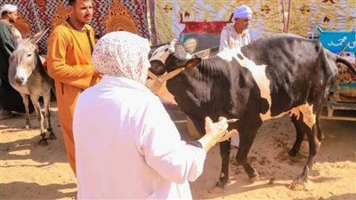 مستقبل وطن ينظم قافلة بيطرية مجانية بالتعاون مع وزارة الزراعة والطب البيطري بالمنيا