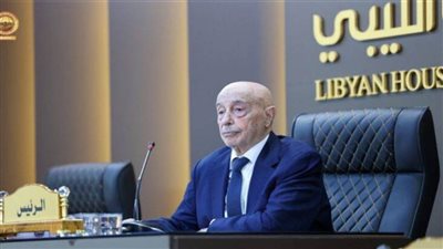 ليبيا: الإقبال على العملية الانتخابية دليل لرغبة الشعب في الاستقرار والأمن