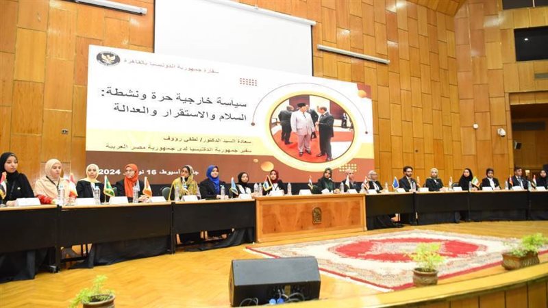 نموذج محاكاة منظمة