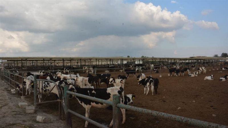 صورة ارشيفية