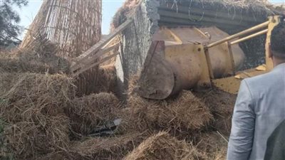 ضمن الموجة الـ24.. إزالة 13 حالة تعدٍ على الأراضي الزراعية بالشرقية