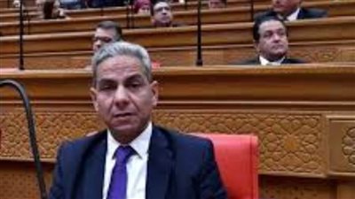 برلماني: مشروع قانون الإجراءات الجنائية أقر ضمانات لجميع أطراف الدعوة بكافة مراحلها