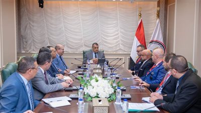 وزير الإنتاج الحربي يستقبل وفد «كاسا» الإيطالية لبحث أوجه التعاون