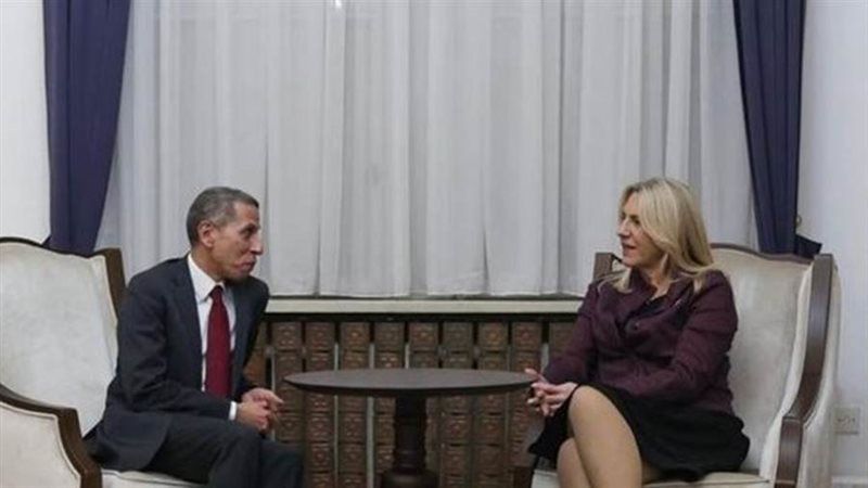 رئيسة البوسنة والهرسك