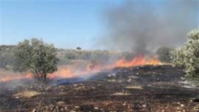 إصابات وإحراق 3 منازل ومحل تجاري في مخيم جنين