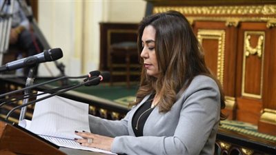 منال عوض: تعزيز إشراك القطاع الخاص في تنفيذ المشروعات الاقتصادية وطرح 43 مجزرًا حكوميًا لإدارتها
