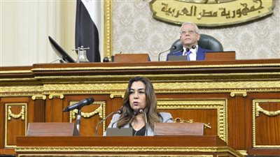 د.منال عوض: مستعدون لاستمرار التنسيق بين الحكومة والبرلمان للإسراع بإصدار قانون الإدارة المحلية الجديد ولائحته التنفيذية