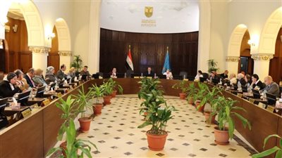 مجلس الدراسات العليا بجامعة الإسكندرية يناقش ضوابط تشكيل اللجنة العليا واللجان الفرعية  