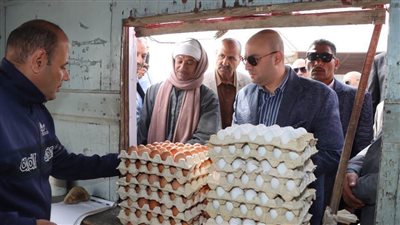 حزمة إجراءات لتطوير منظومة العمل وزيادة الإنتاجية بمشروعات الدواجن ببني سويف