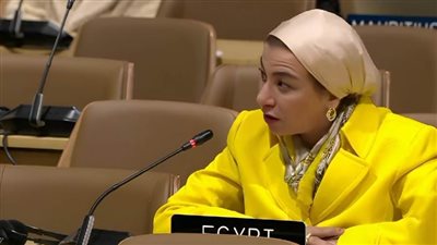 وزيرة البيئة: اتفاق باريس هو الآلية الدولية الحاكمة لضرورة الخروج بهدف جديد لتمويل المناخ