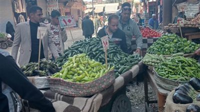 محافظ أسيوط: حملات الإشغالات وتعديات الباعة الجائلين متواصلة بمركز أبوتيج 