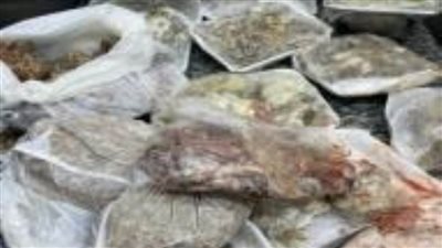 ضبط القائمين على إدارة مطعمين بالقاهرة بحوزتهم سلع ومواد غذائية غير صالحة للاستخدام الآدمي