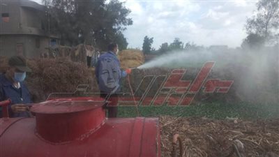 حملة مكبرة لمكافحة الحشرات الناقلة للأمراض بدسوق في كفر الشيخ
