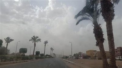 عاجل| شبورة ورياح .. الأرصاد الجوية تكشف حالة الطقس المتوقعة غدا