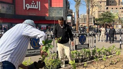  بالصور.. خطة لزيادة المساحات الخضراء في الغربية