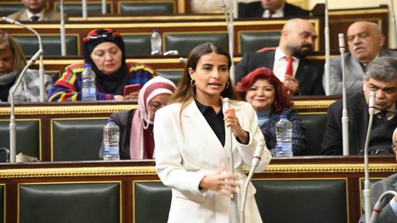 النائبة إيلاريا سمير