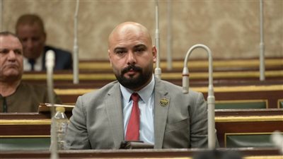 برلماني: 5 إجراءات جعلت مصر ضمن أفضل 5 وجهات استثمارية في أفريقيا