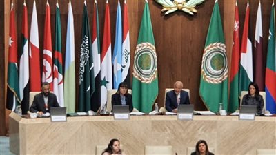 المنسقة للأمم المتحدة بمصر تشيد بدور الجامعة العربية في جهود تحقيق أهداف التنمية المستدامة بالمنطقة العربية