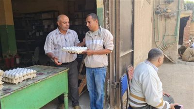 أسعار البيض:147 جنيهًا 