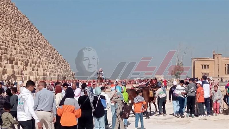 شباب كفرالشيخ