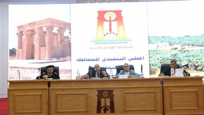 سحب الأراضي الفضاء غير المستغلة التابعة للجهات الحكومية بالوادي الجديد