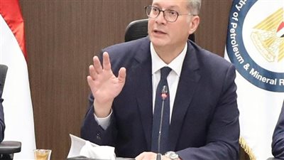 بدوي: التعاون والتوافق في الحكومة الجديدة يحقق التنمية المستدامة