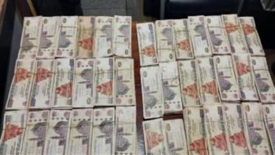  ضبط شخصين بمطار برج العرب أثناء  تهريب مبالغ مالية