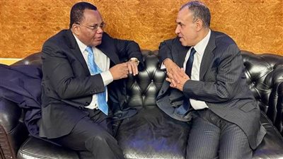 وزير الخارجية يبحث مع نظيره الكونجولي سبل تعزيز العلاقات الثنائية بين البلدين