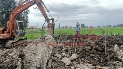 إزالة 10 حالات تعدٍ على الأراضي الزراعية بسيدي سالم 