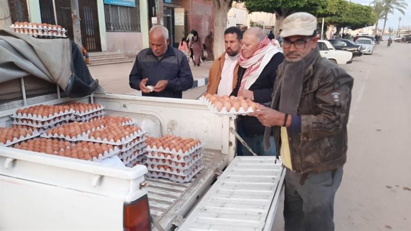 جانب من القافلة التاسعة