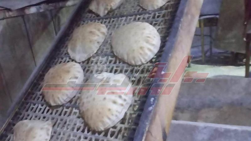 مخابز كفرالشيخ