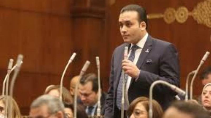 النائب عمرو فهمي