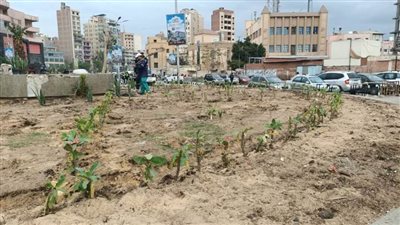 بالصور.. إعادة المظهر الحضاري لميدان المحطة بالمحلة