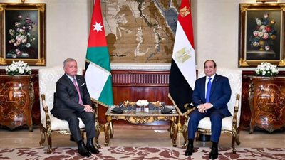 برلمانيون: استضافة مصر مؤتمر دعم غزة تؤكد دورها المحوري في مساندة الشعب الفلسطيني