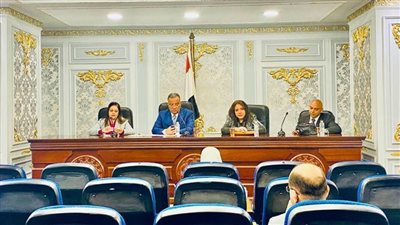 سياحة الشيوخ توافق على مقترح نائبة التنسيقية بشأن اعتماد تأمين صحي إلزامي على تأشيرة السائحين