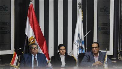 مجلس الشباب المصري ينظم ورشة عمل حول 