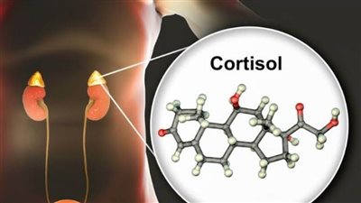 يسبب التوتر المزمن.. كل ما تحتاج معرفته عن هرمون الكورتيزول 