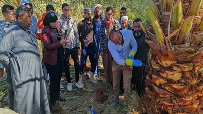 ورشة عمل حول 