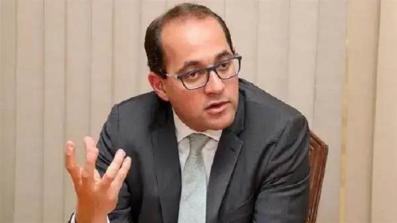 وزير المالية أحمد