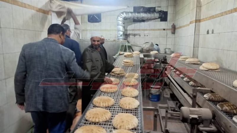 الحملات الرقابية