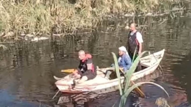 عمليات البحث