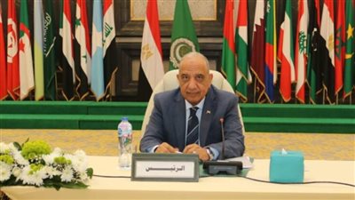 نص كلمة وزير الكهرباء خلال المجلس العربي لوزراء الكهرباء العرب