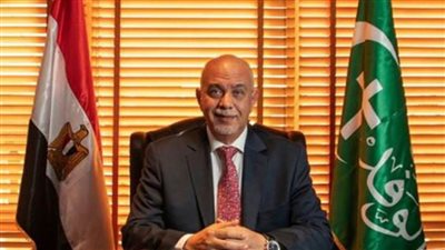 الجندي: مؤتمر القاهرة لدعم غزة رسالة عالمية للحفاظ على حقوق الشعب الفلسطيني