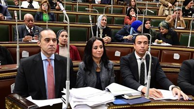 وزير المجالس النيابية يكشف عن مشروع قانون جديد لتنظيم الأسر البديلة