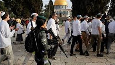 عاجل.. محافظة القدس: 3801 مسوطن يقتحمون الأقصى و36 عملية هدم خلال نوفمبر