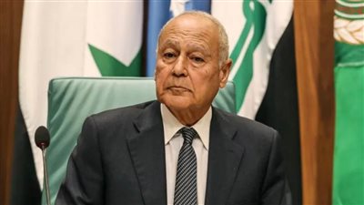 أبو الغيط: مؤتمر 